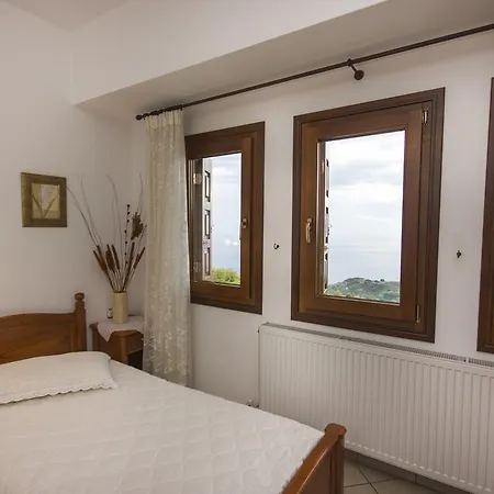 Guesthouse Papagiannopoulou Zagora Room photo
