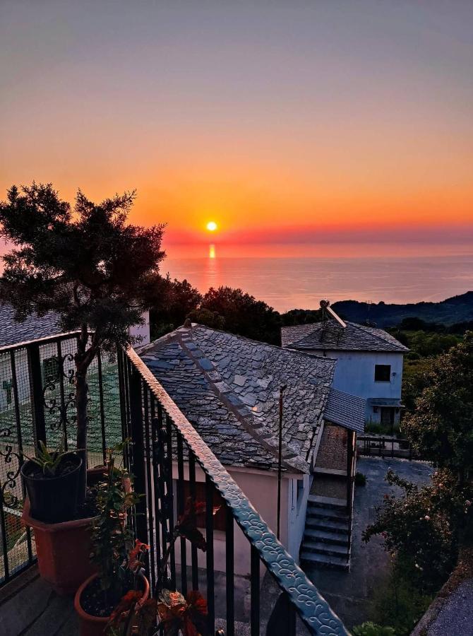 Apartment Papagiannopoulou Zagora