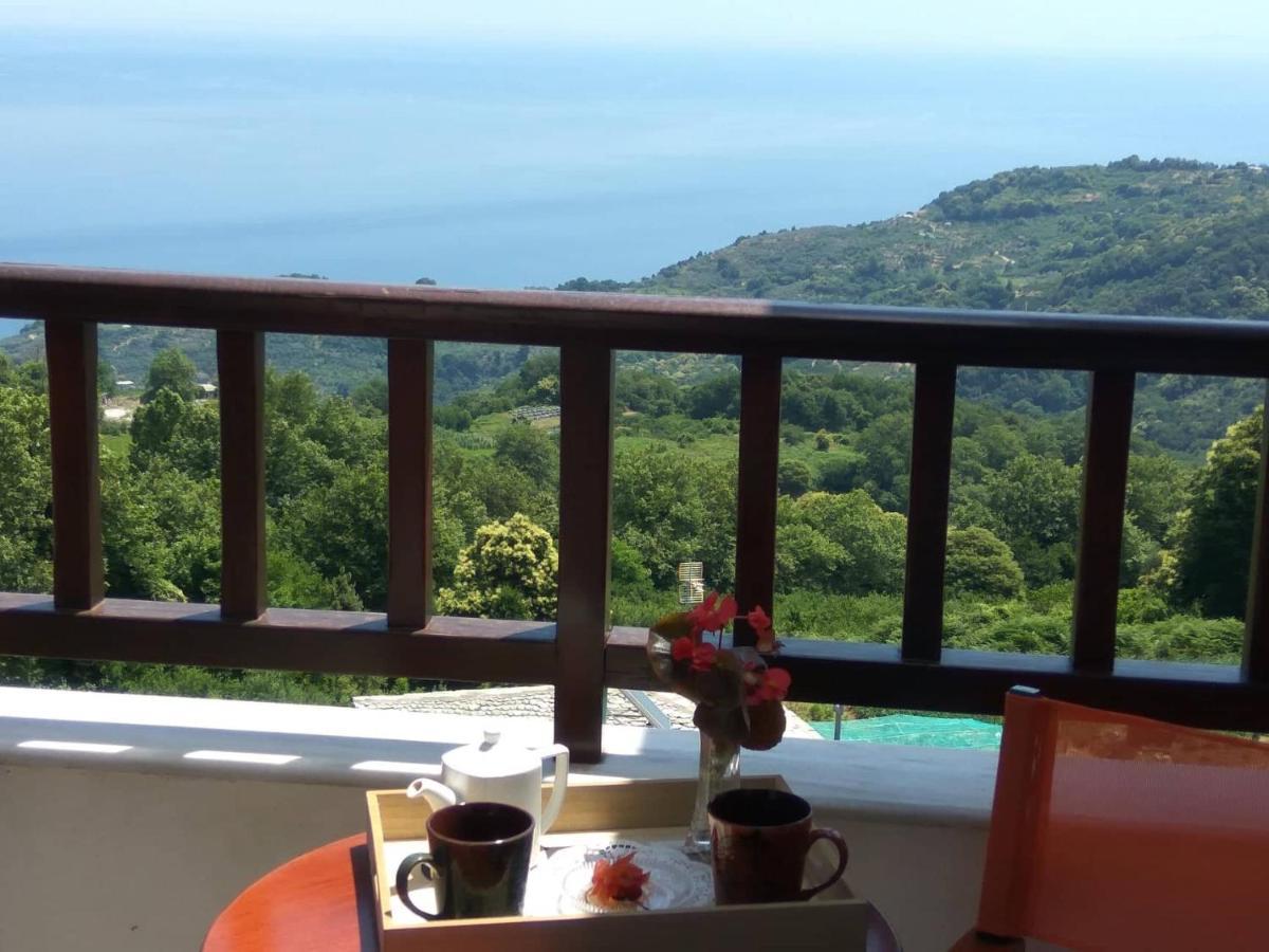 Papagiannopoulou Apartment Zagora