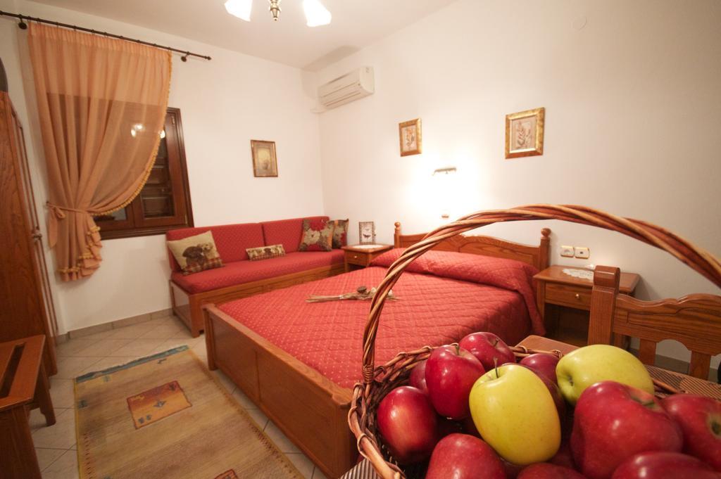 Apartment Papagiannopoulou Zagora