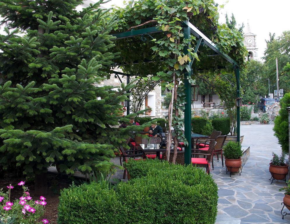 Papagiannopoulou Apartment Zagora