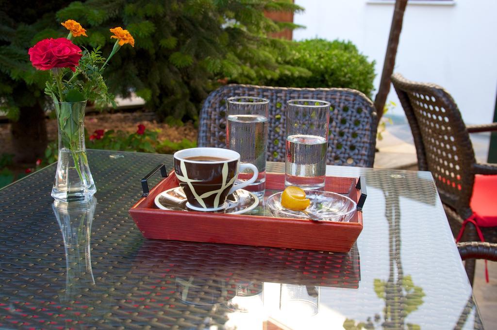 Papagiannopoulou Apartment Zagora