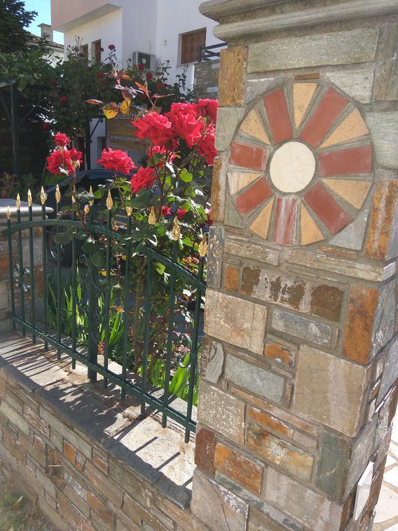 Papagiannopoulou Apartment Zagora
