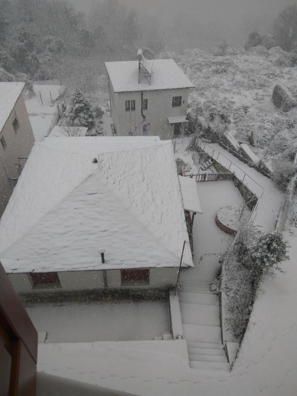 Papagiannopoulou * Zagora